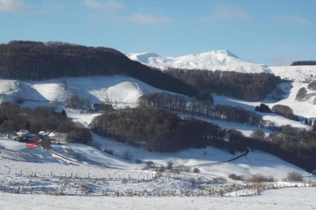 Chalet En Pleine Nature Pour 12 Personnes Besse-et-Saint-Anastaise Bagian luar foto